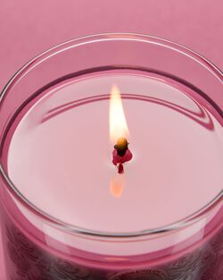 Inspire Love - Rose + Vanilla Single Wick Candle image number null