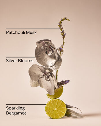 Platinum Fine Fragrance Mist มิสต์