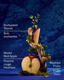 Snow White Wallflowers Fragrance Refill image number null