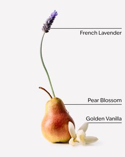 Moonlit Goddess Wallflowers Fragrance Refill image number null