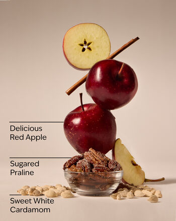 Apple Cinnamon Spice Concentrated Room Spray สเปรย์ปรับอากาศห้อง