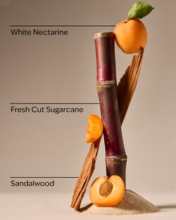 Fiji White Sands Gentle & Clean Foaming Hand Soap image number null