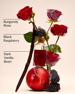 Dark Kiss 3-Wick Candle