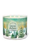 Fresh Balsam 3-Wick Candle image number null