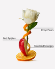 Winter Candy Apple Fine Fragrance Mist image number null