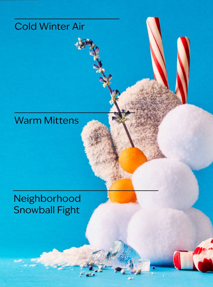 Snowball Fight Wallflowers Fragrance Refill รีฟิลวอลล์ฟลาวเวอร์