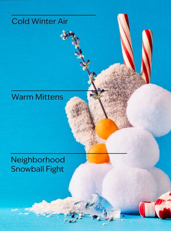 Snowball Fight Wallflowers Fragrance Refill รีฟิลวอลล์ฟลาวเวอร์