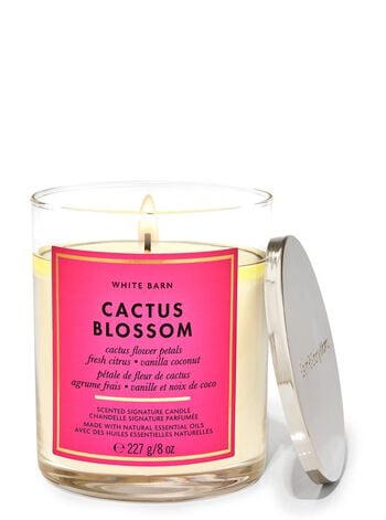 Cactus Blossom Signature Single Wick Candle เทียนหอม 1 ไส้