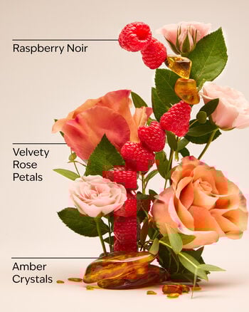 Into The Night Concentrated Room Spray สเปรย์ปรับอากาศห้อง