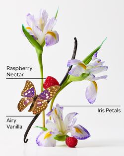 Butterfly Fine Fragrance Mist image number null