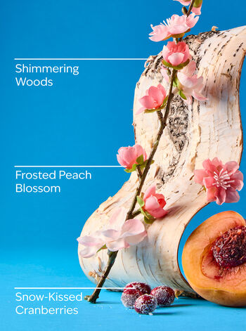 Snowy Peach Berry Shower Gel Shower Gel