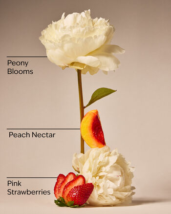 Gingham Gorgeous Mini Perfume Spray Mini Perfume Spray