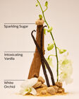 Warm Vanilla Sugar Moisturizing Body Wash image number null