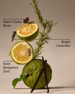 Lavender Bergamot Concentrated Room Spray image number null