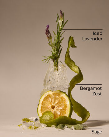 To The Moon Cologne โคโลญจน์