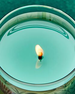 Mulan Single Wick Candle image number null