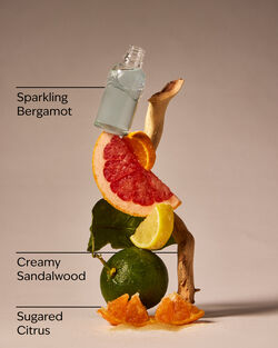 Bergamot Waters 3-Wick Candle image number null