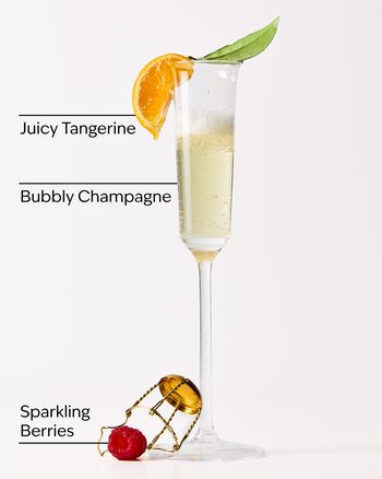 Champagne Toast Diamond Shimmer Mist Diamond Shimmer Mist