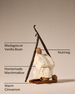 Vanilla Bean 3-Wick Candle image number null