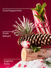 Twisted Peppermint Fine Fragrance Mist image number null