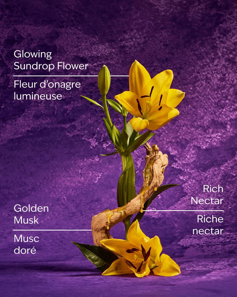 Rapunzel Fine Fragrance Mist มิสต์