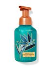 Turquoise Waters Gentle & Clean Foaming Hand Soap image number null