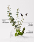 Eucalyptus Snowfall 3-Wick Candle image number null
