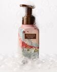 The Perfect Autumn Gentle & Clean Foaming Hand Soap image number null