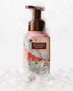 The Perfect Autumn Gentle & Clean Foaming Hand Soap image number null