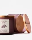 Raspberry Mimosa 3-Wick Candle image number null