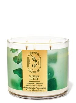 Eucalyptus Spearmint 3-Wick Candle