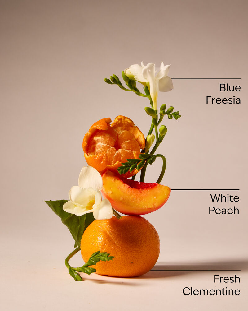 Gingham Gentle & Clean Foaming Hand Soap Foaming Hand Soap