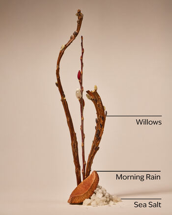 Rainfall Cleansing Gel Hand Soap เจลล้างมือสูตรทำความสะอาด