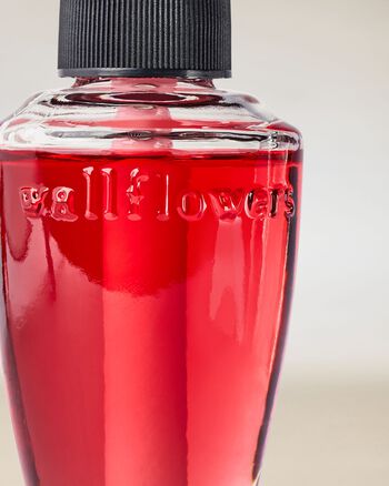 Viva Brazil Wallflowers Fragrance Refill รีฟิลวอลล์ฟลาวเวอร์
