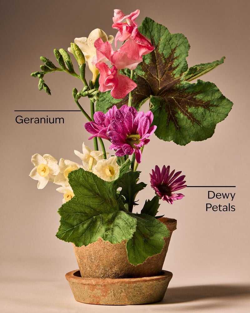 Springtime Greenhouse Gentle & Clean Foaming Hand Soap โฟมล้างมือ