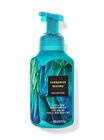 Turquoise Waters Gentle & Clean Foaming Hand Soap image number null