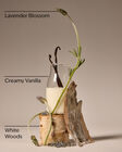 Lavender Vanilla Body Wash & Shower Gel image number null