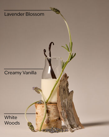 Lavender Vanilla Body Wash & Shower Gel สบู่อาบน้ำ
