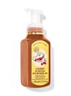 Cherry Almond Shortbread Gentle & Clean Foaming Hand Soap image number null