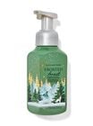 Frosted Forest Gentle & Clean Foaming Hand Soap image number null