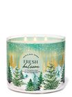 Fresh Balsam 3-Wick Candle image number null