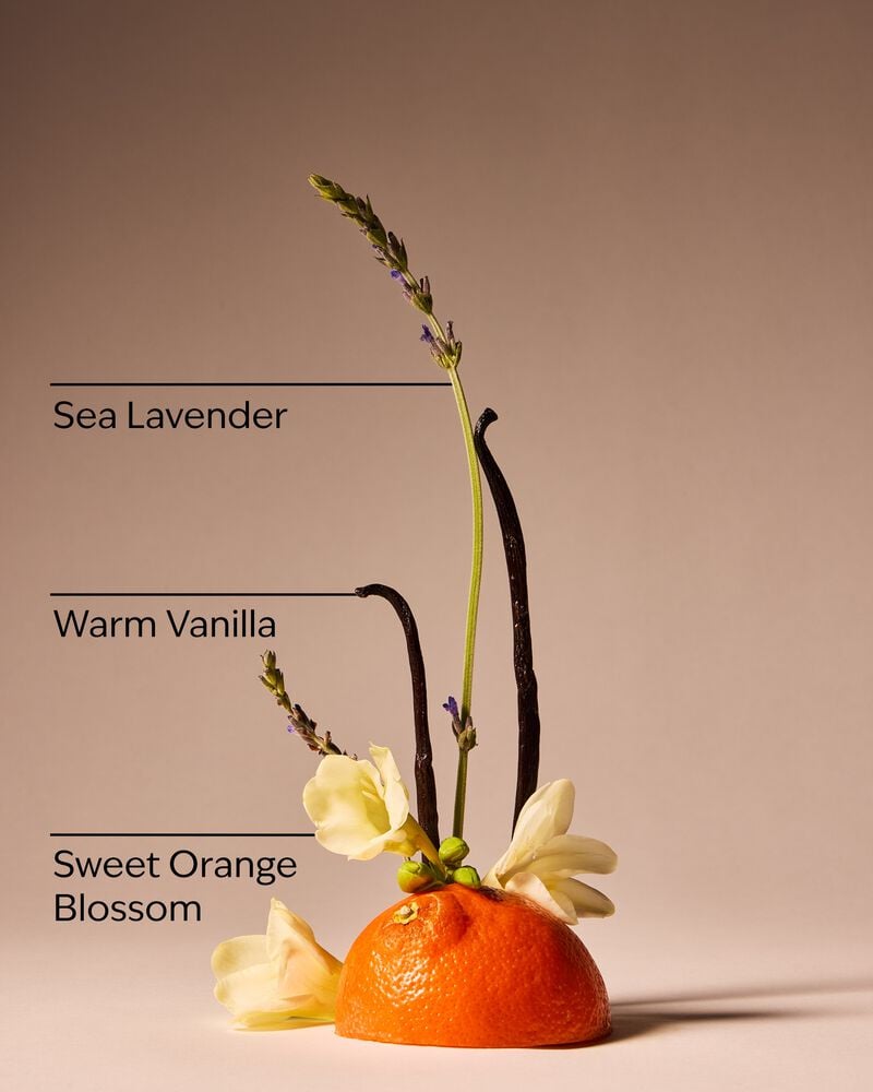 Sweet Orange Blossom Gentle & Clean Foaming Hand Soap โฟมล้างมือ