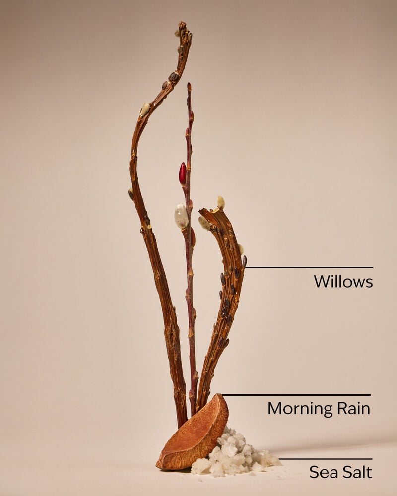 Rainfall Cleansing Gel Hand Soap เจลล้างมือสูตรทำความสะอาด