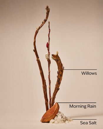 Rainfall Cleansing Gel Hand Soap เจลล้างมือสูตรทำความสะอาด