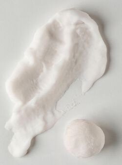 Vanilla Bean Noel Shapeable Soap image number null