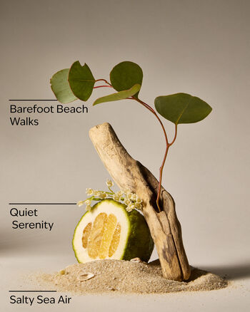 Ocean Town Bound Wallflowers Fragrance Refill Wallflowers Fragrance Refill