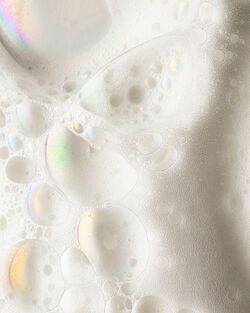 Wrapped In Spice Gentle & Clean Foaming Hand Soap image number null