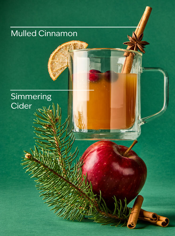 Christmas Cider Wallflowers Fragrance Refill รีฟิลวอลล์ฟลาวเวอร์