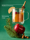 Christmas Cider Wallflowers Fragrance Refill image number null