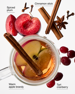 Spiced Apple Toddy 3-Wick Candle